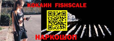 шишки Обь