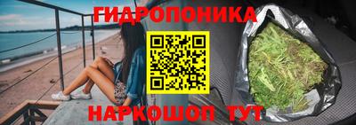 шишки Обь