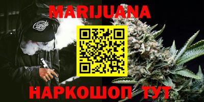шишки Обь