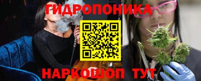 шишки Обь