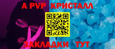 шишки Обь
