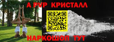 шишки Обь