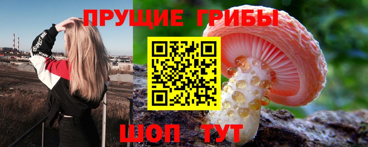 Псилоцибиновые грибы ЛСД Славянск-на-Кубани