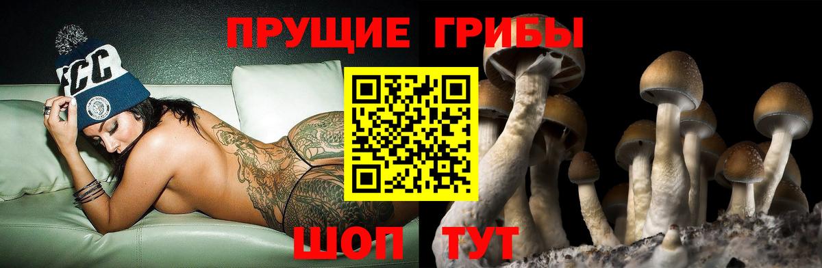 Славянск-на-Кубани  Галлюциногенные грибы Cubensis  даркнет сайт  Вход с VPN  Псилоцибиновые грибы Cubensis 